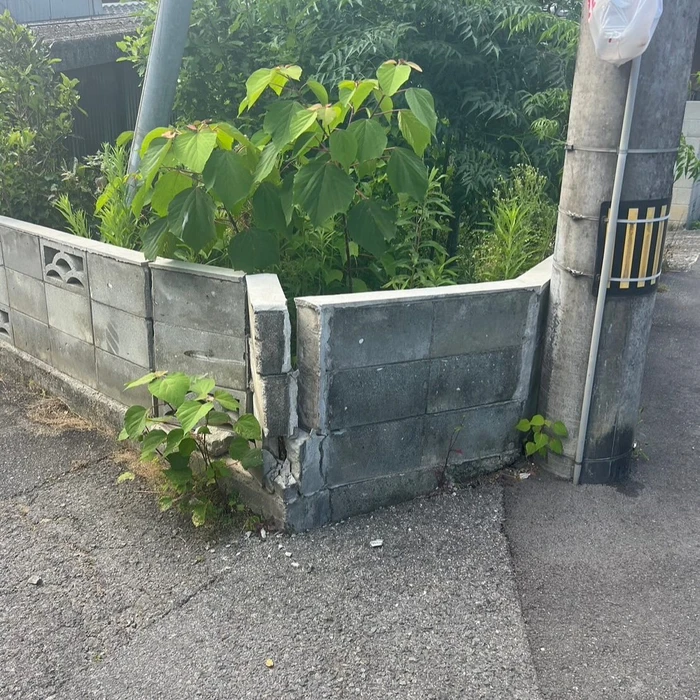 画像256