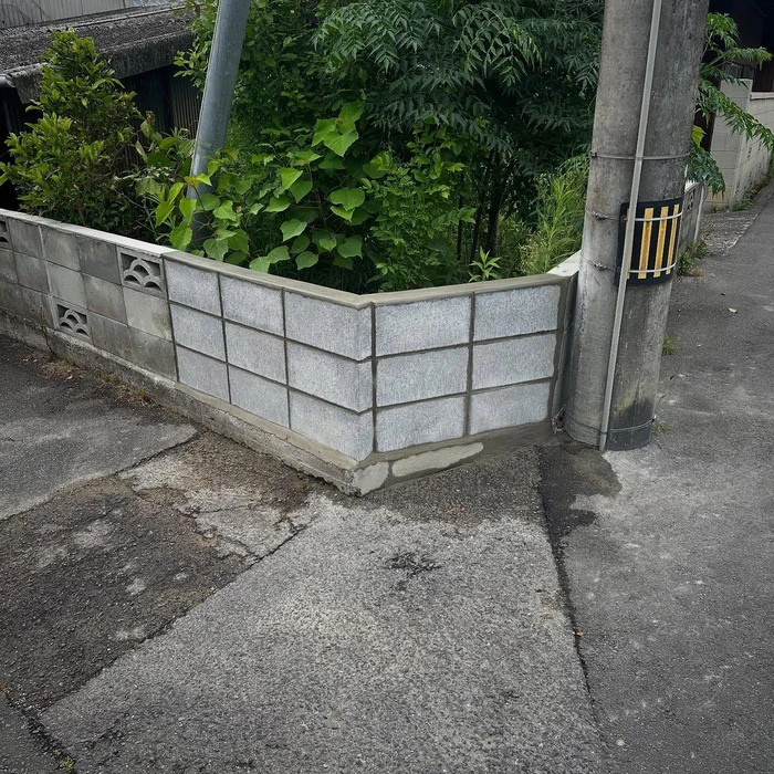 画像258