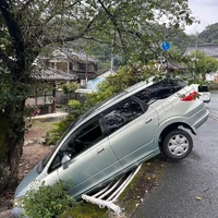 画像263