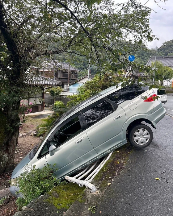 画像263