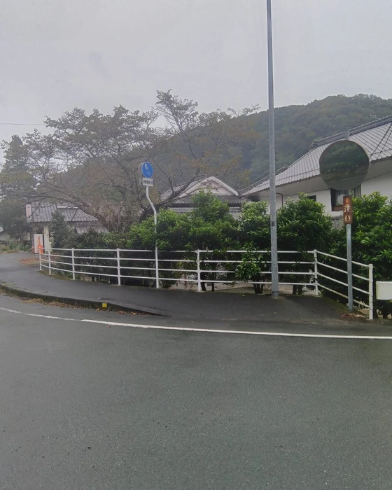 画像269