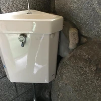 画像320