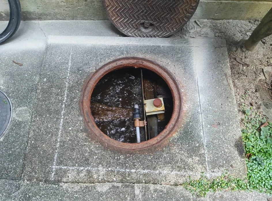 画像359